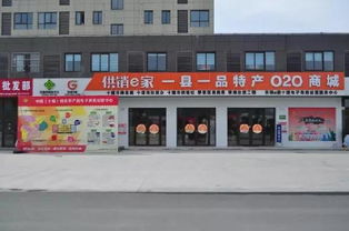 中国互联网的未来在农村,农村电子商务的未来在供