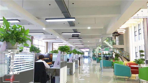 厉害 双11 谷城电商销售额近亿元 农特产 爆卖 全国